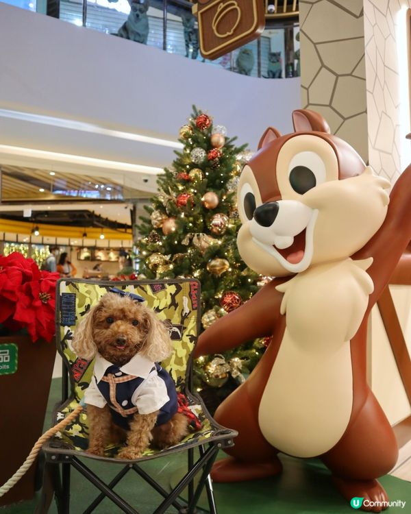 Popwalk 天晉匯 Chip n Dale