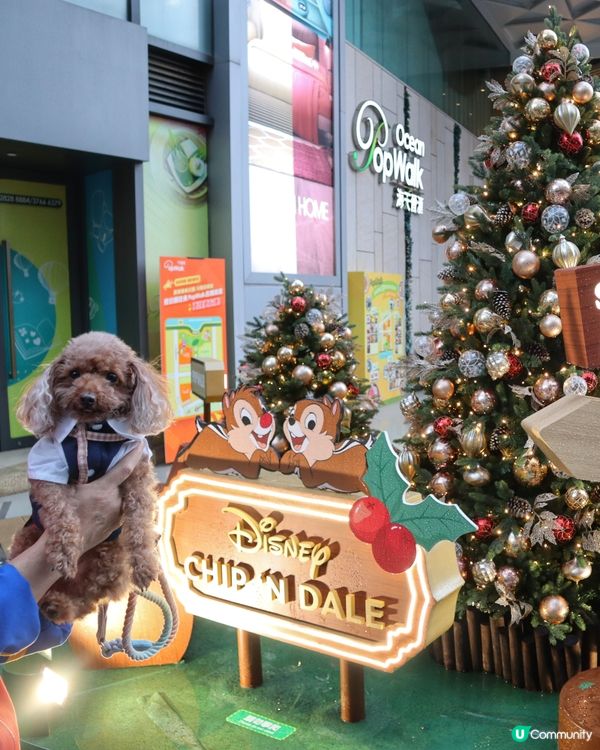 Popwalk 天晉匯 Chip n Dale