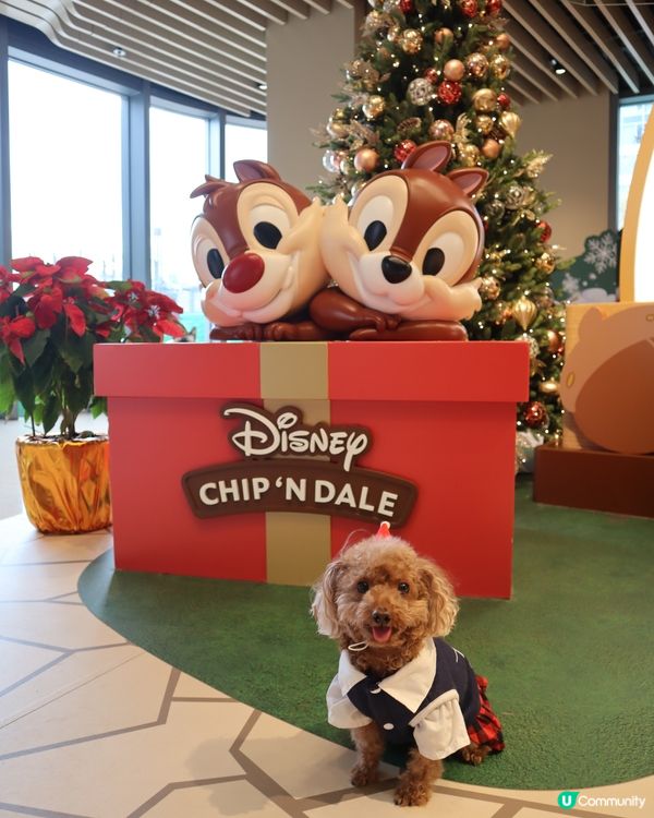 Popwalk 天晉匯 Chip n Dale