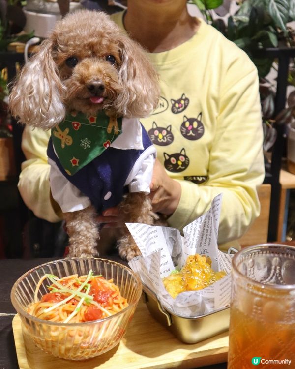 將軍澳寵物友善cafe