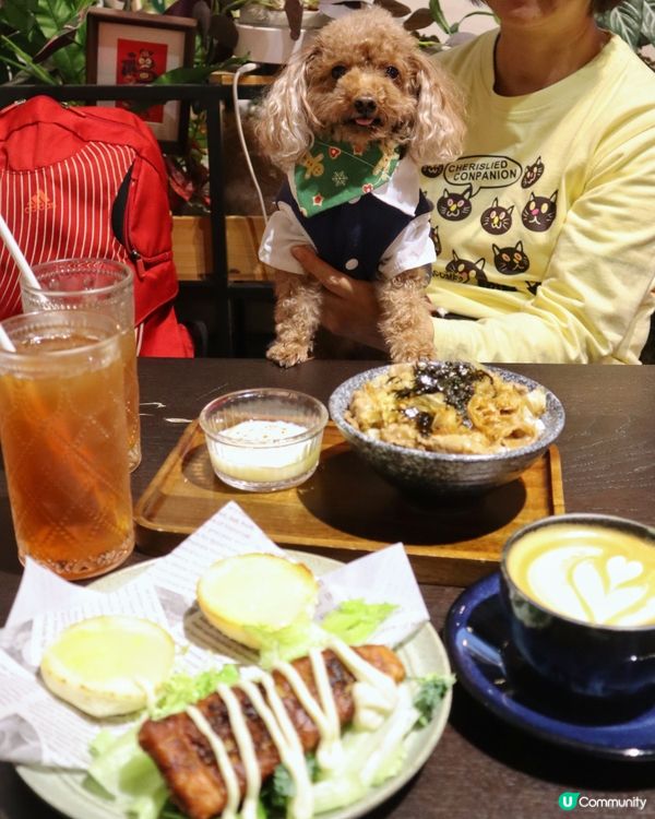 將軍澳寵物友善cafe