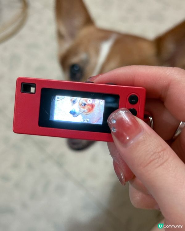 毛孩安樂窩必備！免費換復古相機📸🐾