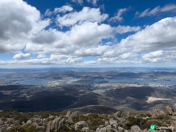 澳洲南部最接近雲端的秘境-威靈頓山