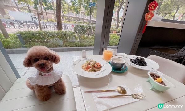 跟ChaB揾食🐾🐶 大西北室內寵物友善餐廳🍴 