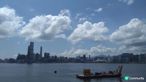 油塘日落，我在維港天氣晴，筲箕灣樹繽紛