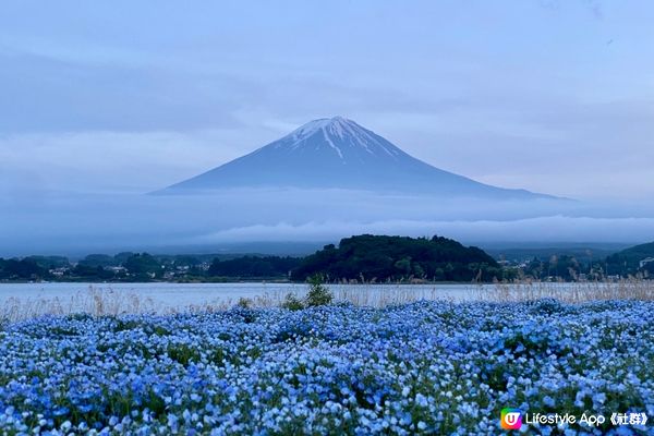 5/2023 #純粹獨遊 ：04的富士山 🌅