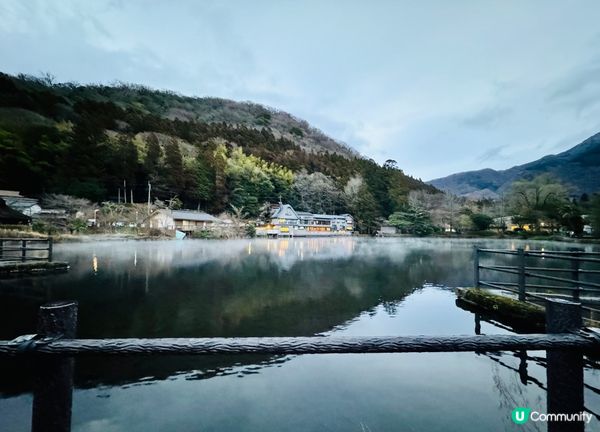 金鱗湖最佳拍照時間 #Ok即刻有