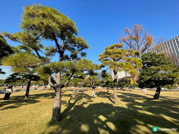 皇居外苑:東京最美的市中心綠洲
