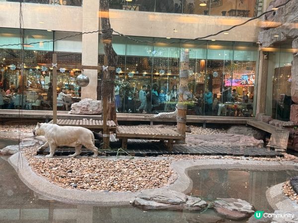 廣州長隆度假區酒店開箱大比拼