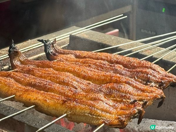 尖沙咀鰻魚飯天花板！🐟