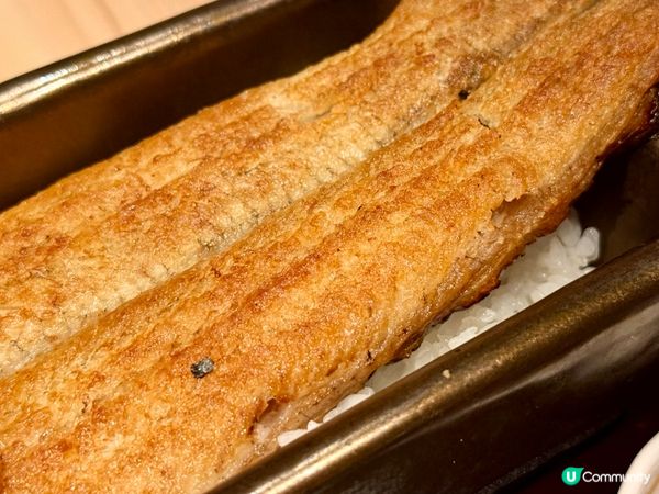 尖沙咀鰻魚飯天花板！🐟