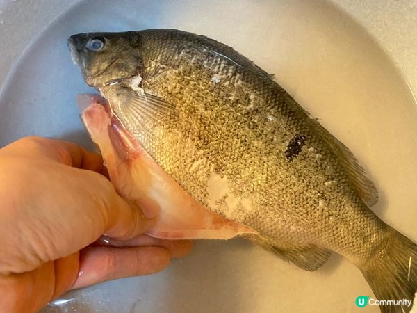 🐟 #清蒸本地有機寶石魚 