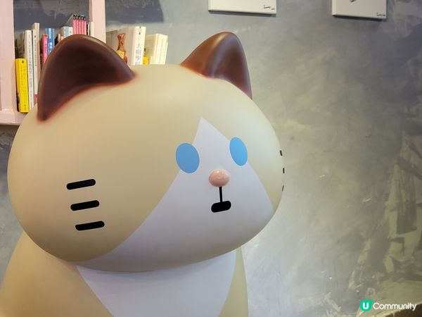 睇到ulifestyle介紹中環樓上cafe推出任食任飲任坐...