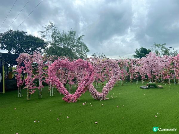 新田小磡村信芯園