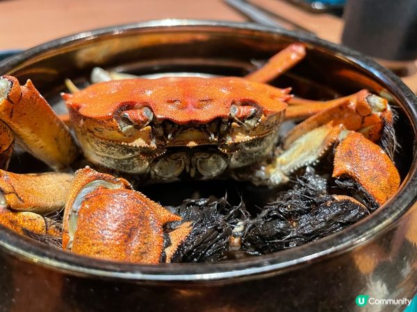 日本北海道石狩川大閘蟹～😆其實唔知啱唔啱時間吃，肉質實淨，都...