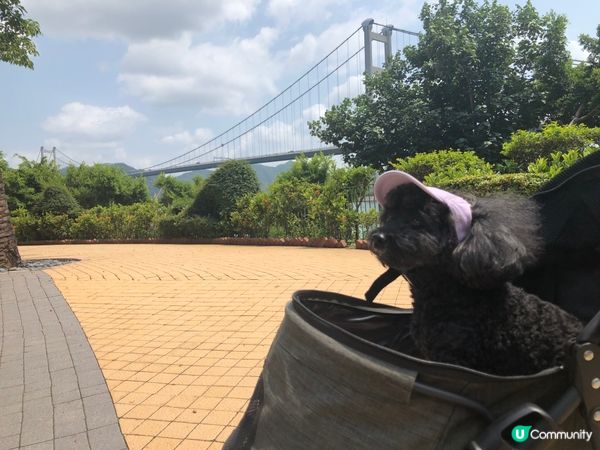 今日係我生日，爹哋帶我去寵物展！