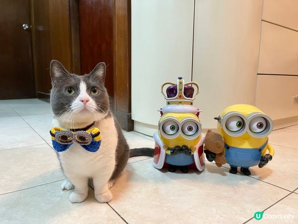 邊個最有型？邊個最靚仔？