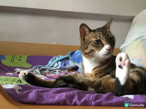 今日成村人上嚟搞到我屈咗喺房成日～悶呀～