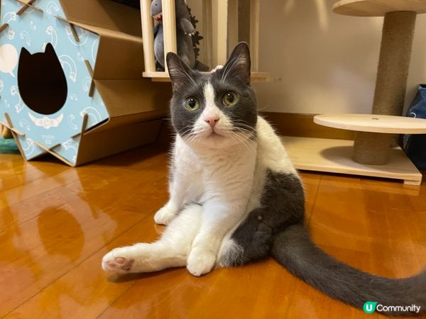 我就係Master of Yoga 🧘