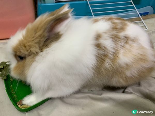 呢個小朋友有零食就無媽咪。先係用個背脊得住我。我轉個位影佢佢...