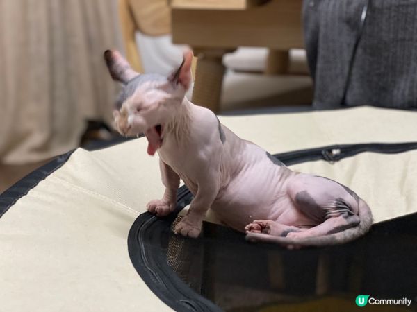 係咪打風㗎？🥱