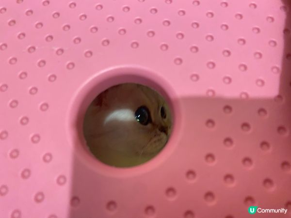 老闆都有斯文一面🫡