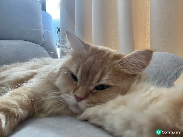 But first, let me take a selfi...