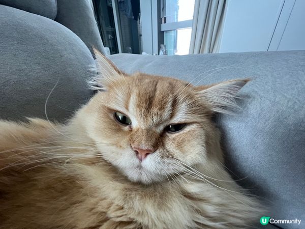 最近佢迷上了自拍🤳🏻😼😂