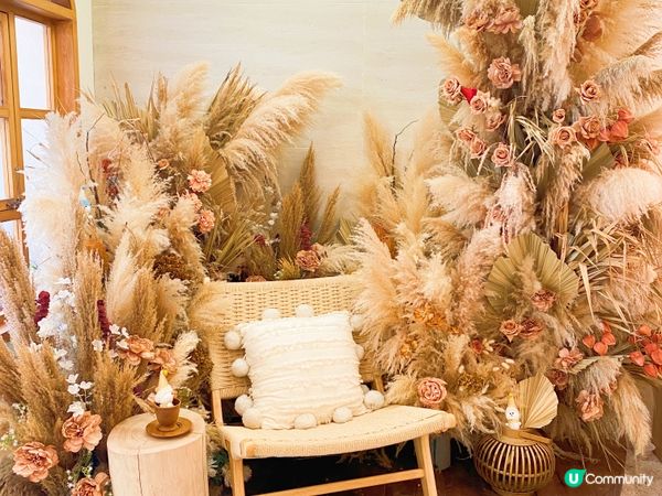 🌾放假去咗長沙灣café打卡，呢間好多人去，可以帶毛孩嚟，門...