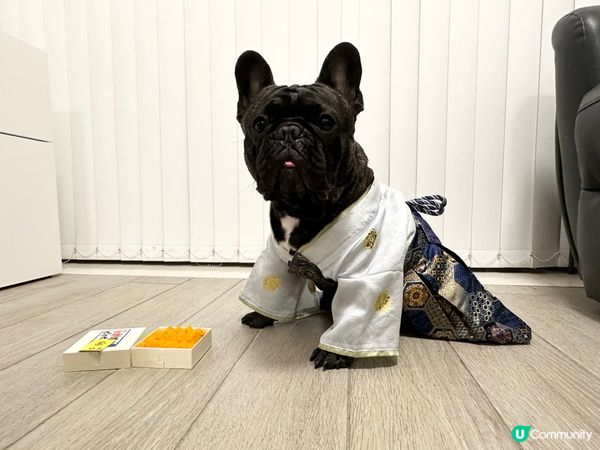 🙆🏻‍♀️：拿拿拿今次唔關我事呀!我已經收咗手㗎啦無再買野比...