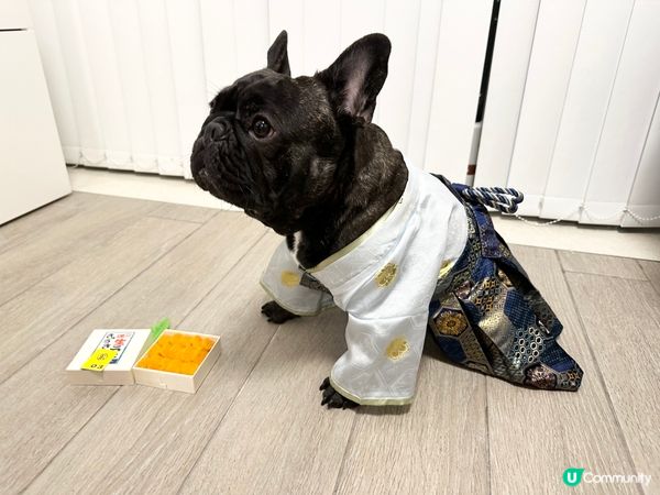 🙆🏻‍♀️：拿拿拿今次唔關我事呀!我已經收咗手㗎啦無再買野比...