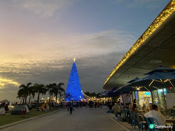 漂亮的聖誕樹和燈飾
