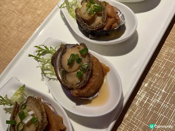 白滷水九孔鲍魚，滷得好入味!