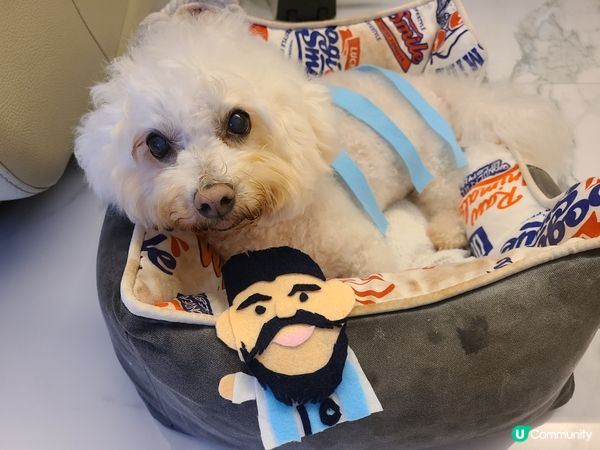 Mochi: 我阿媽呢排睇波嗌到傻咗，我要去Pet K 純冬...