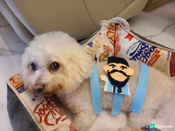 Mochi: 我阿媽呢排睇波嗌到傻咗，我要去Pet K 純冬...