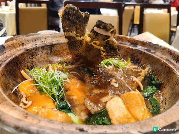 食兩個餸已經飽曬，薑汁炒芥蘭、古法炆龍躉撥水翅，剩係撥水翅都...