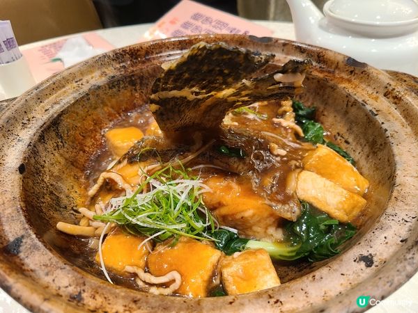 食兩個餸已經飽曬，薑汁炒芥蘭、古法炆龍躉撥水翅，剩係撥水翅都...