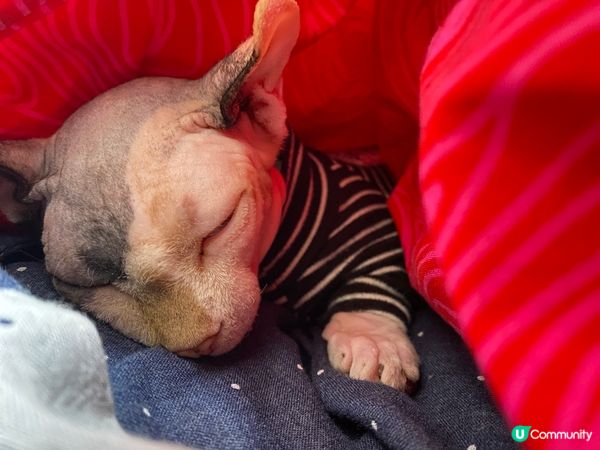 媽mi的天然暖水袋