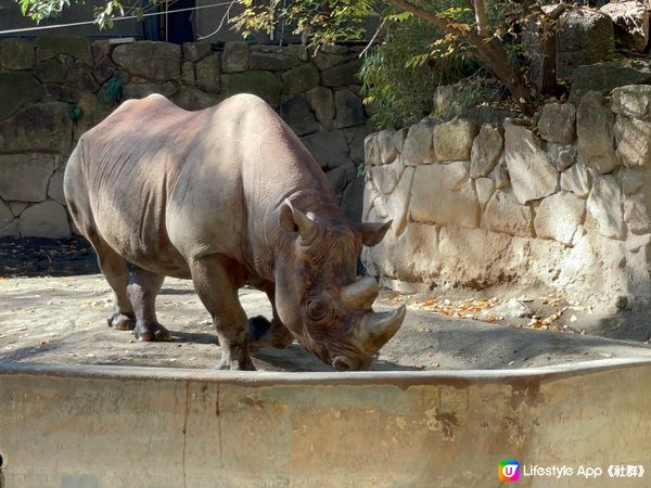 上野動物園UENO ZOO💞💞