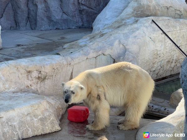 上野動物園UENO ZOO💞💞