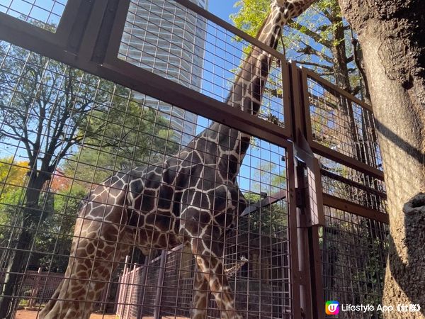 上野動物園UENO ZOO💞💞