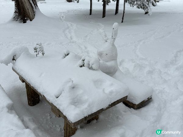 北海道神宮美景