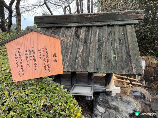 ❀名花之里❀なばなの里❀日本最大燈海💡