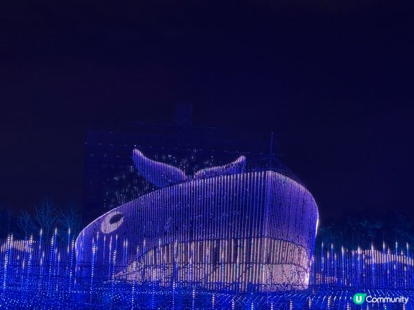 ❀名花之里❀なばなの里❀日本最大燈海💡