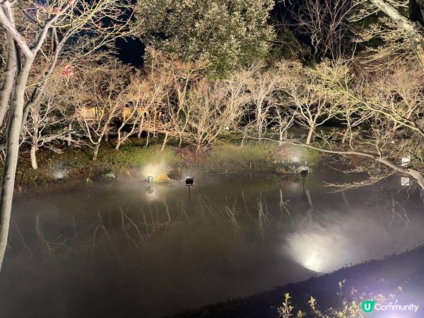 ❀名花之里❀なばなの里❀日本最大燈海💡