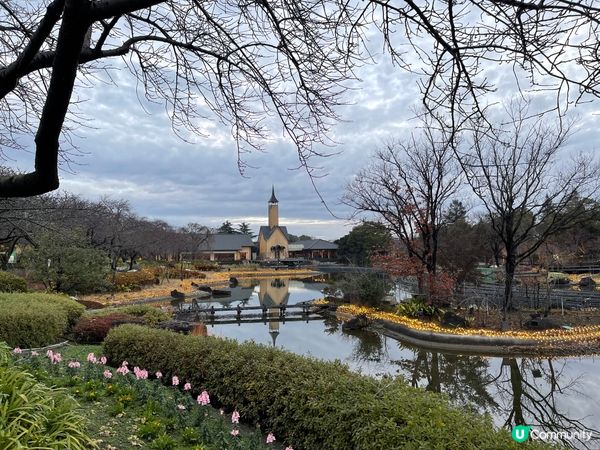 ❀名花之里❀なばなの里❀日本最大燈海💡