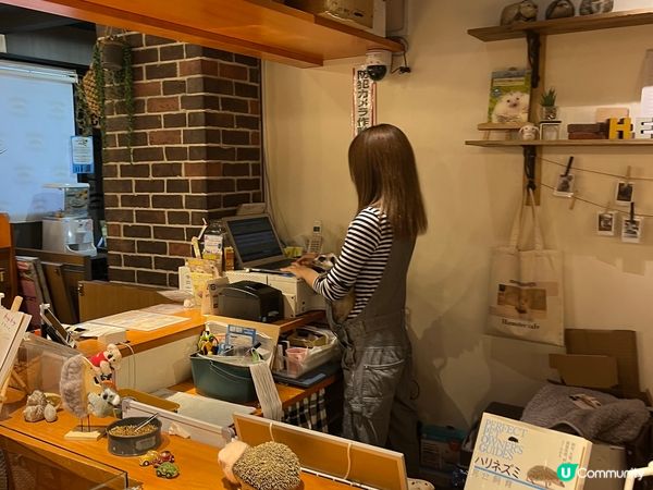 原宿-刺蝟Cafe🦔