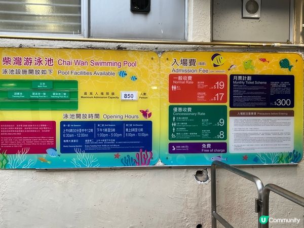 現在各區的游泳池陸續開放，人流開始慢慢湧現