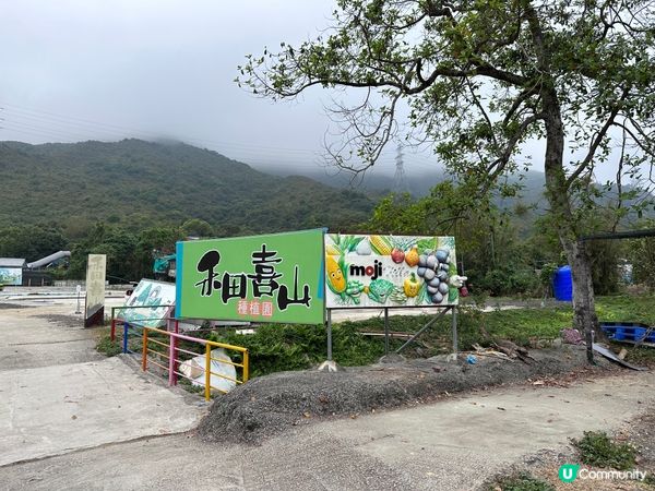 春日親子好去處-沙頭角禾田喜山種植園