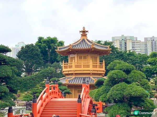 祈福踏春兩不誤，感受市中心的靜謐｜南蓮園池、志蓮淨苑